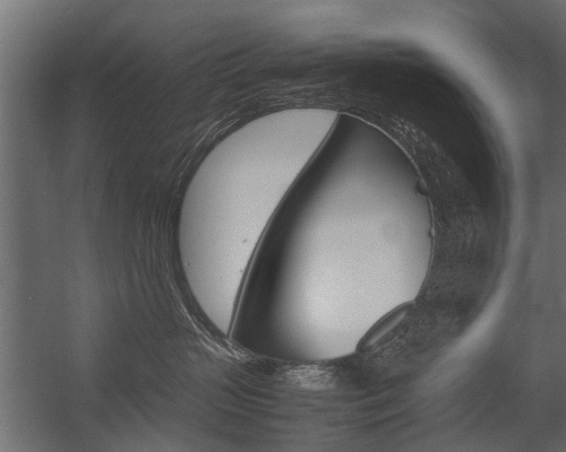X0000054370383200507290837