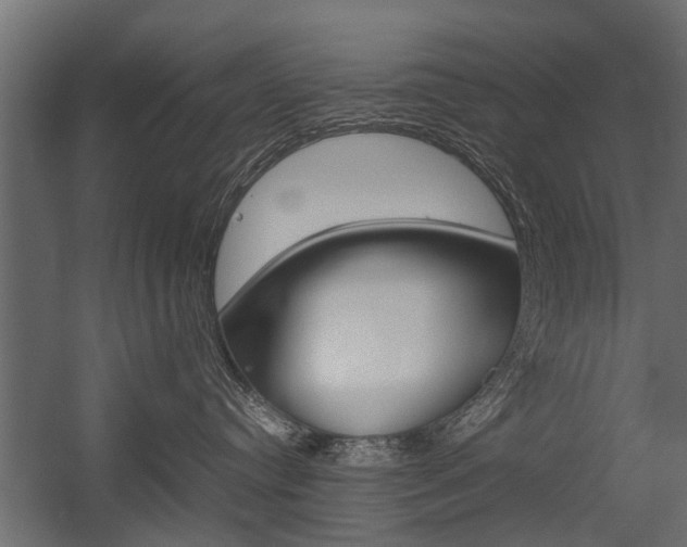 X0000054370384200507290837