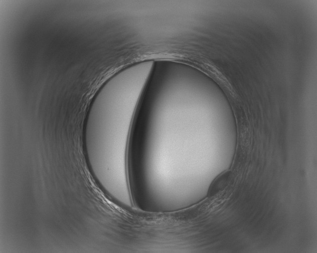X0000054370385200507290836