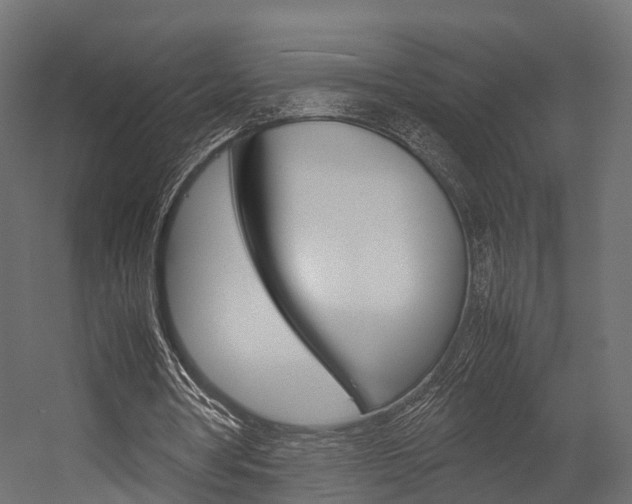 X0000054370386200507290836