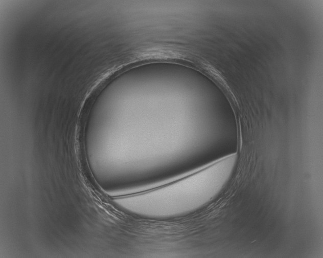 X0000054370387200507290836