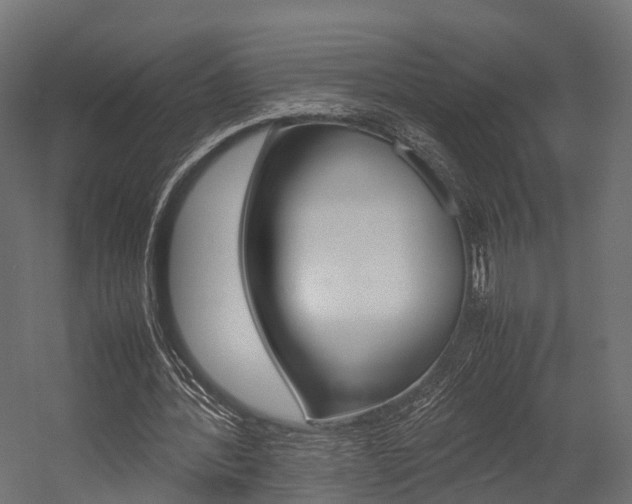 X0000054370388200507290836