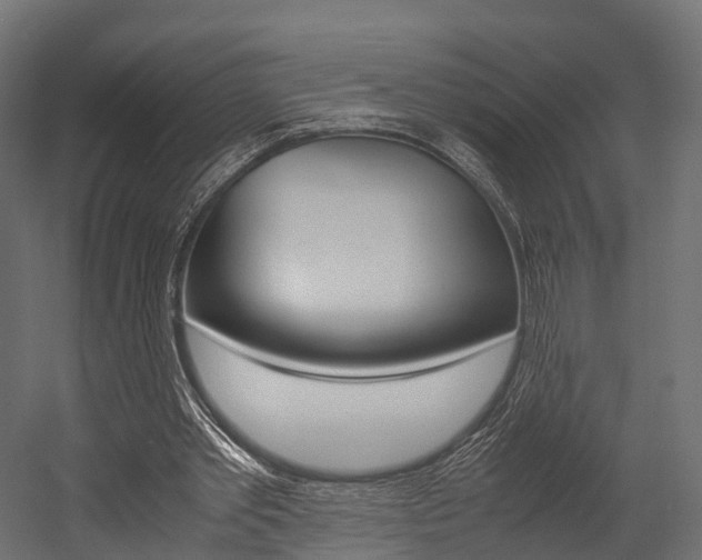 X0000054370389200507290836