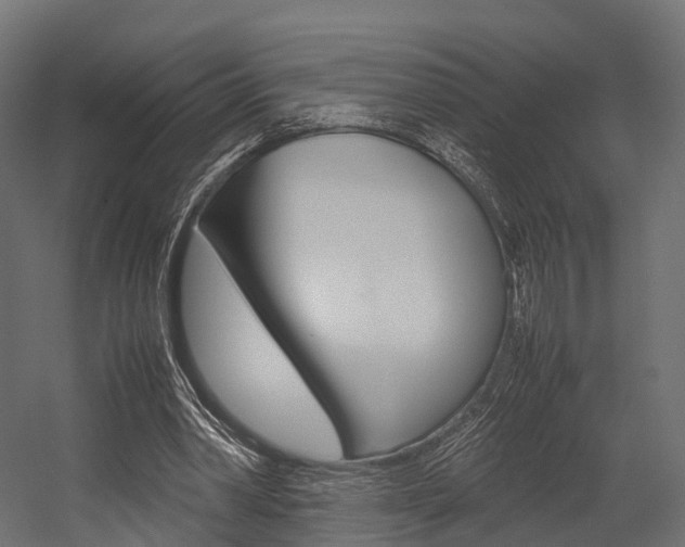 X0000054370390200507290836