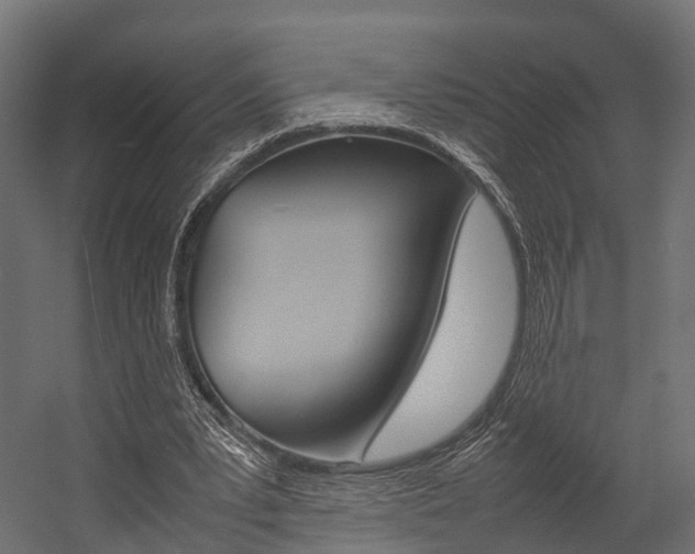 X0000054370391200507290836