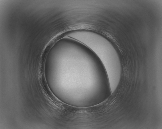 X0000054370392200507290836