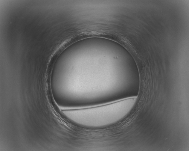 X0000054370395200507290836
