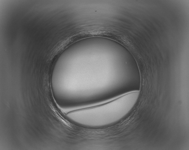X0000054370397200507290836