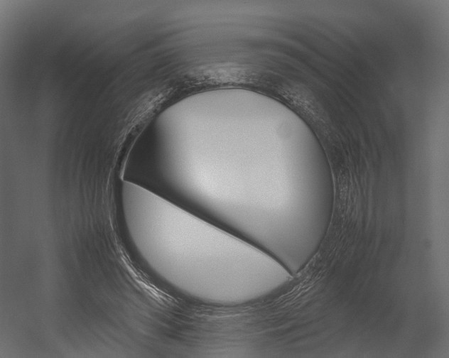 X0000054370398200507290836
