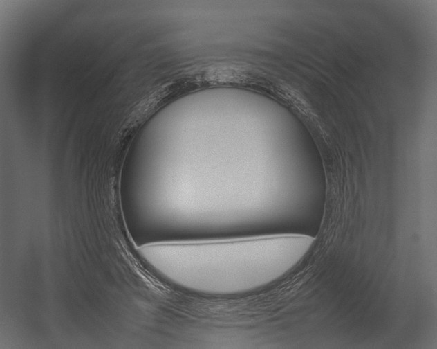 X0000054370401200507290836