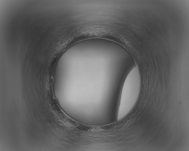 X0000054370403200507290836