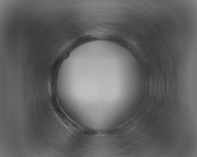 X0000054370404200507290836