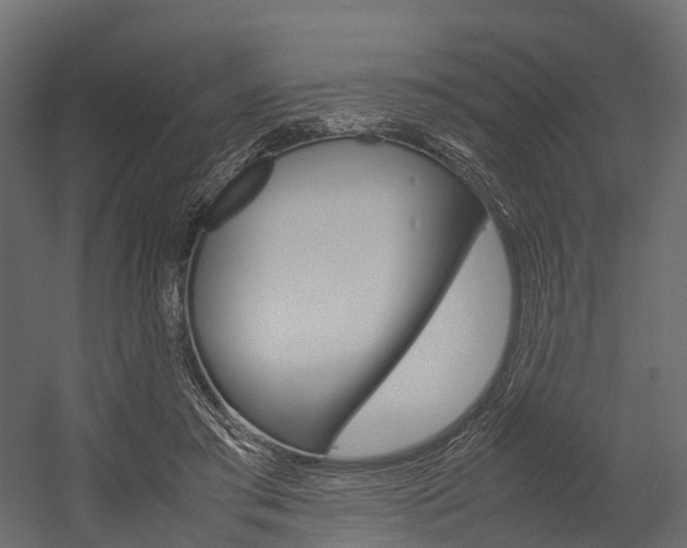 X0000054370405200507290836