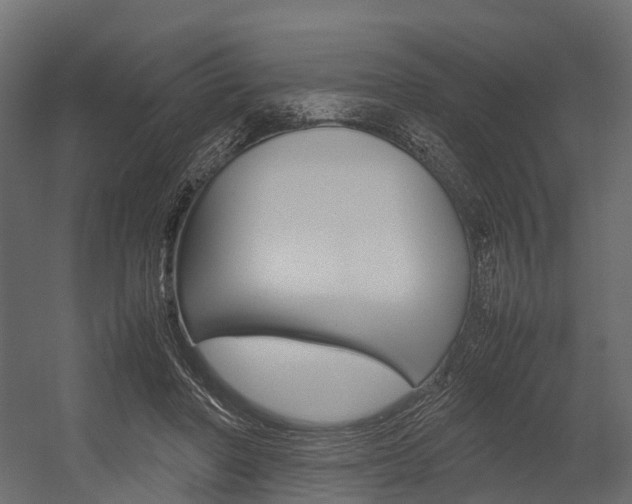 X0000054370406200507290836