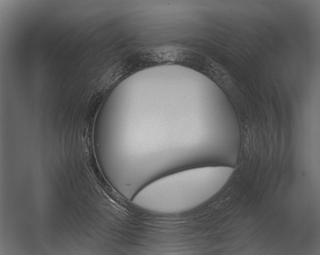 X0000054370414200507290836