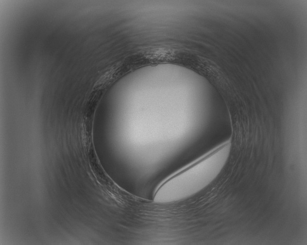 X0000054370416200507290836