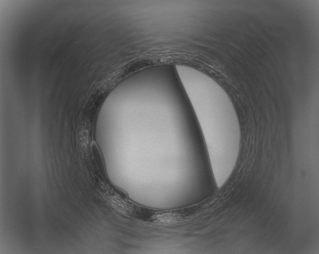 X0000054370417200507290836
