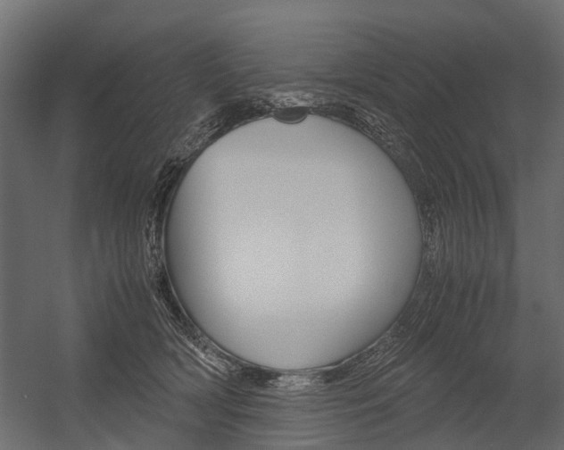 X0000054370418200507290836