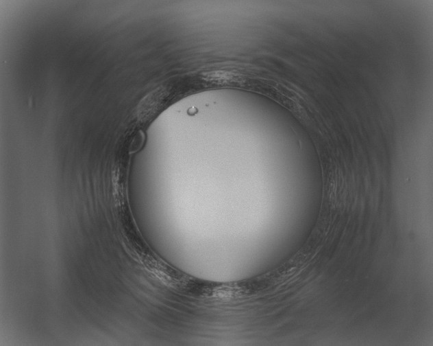 X0000054370420200507290836