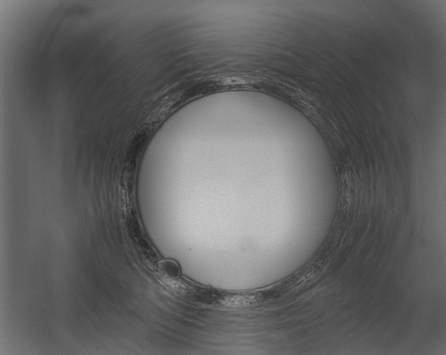 X0000054370422200507290836