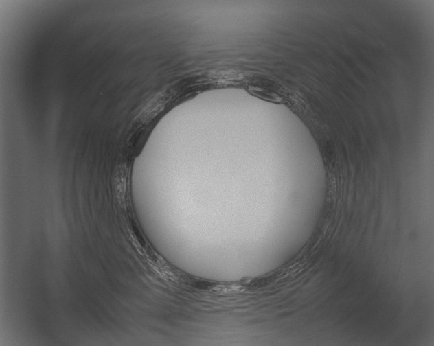 X0000054370427200507290836
