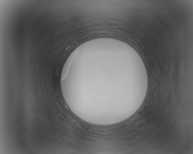 X0000054370431200507290836