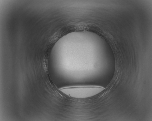 X0000054370432200507290836