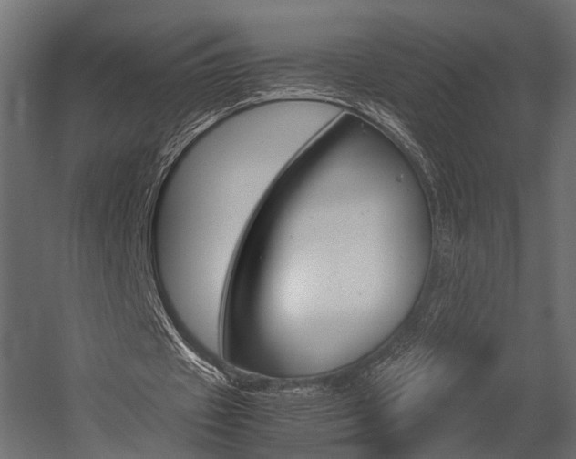 X0000054370433200507290835