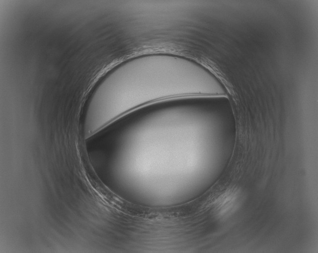 X0000054370434200507290835