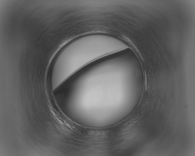 X0000054370435200507290835