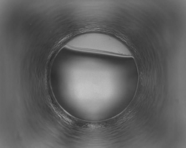 X0000054370442200507290835
