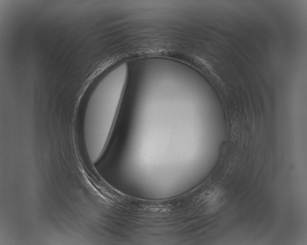 X0000054370443200507290835