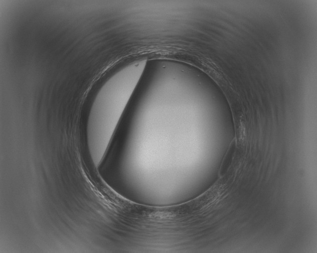 X0000054370444200507290835