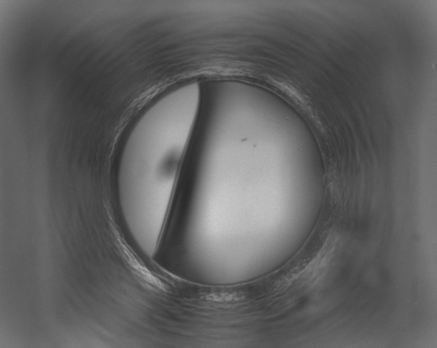 X0000054370445200507290835