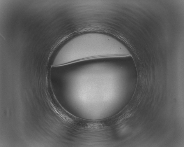 X0000054370446200507290835