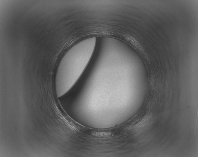 X0000054370449200507290835