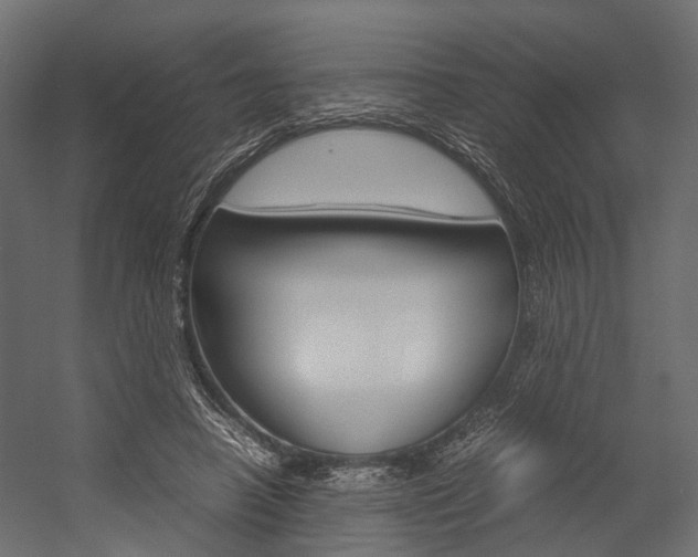 X0000054370450200507290835