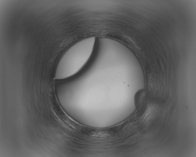 X0000054370451200507290835