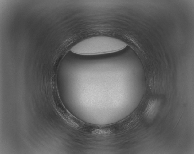 X0000054370455200507290835