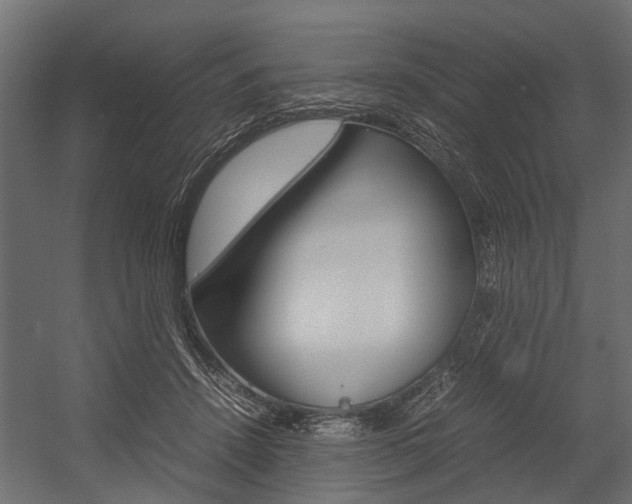 X0000054370456200507290835