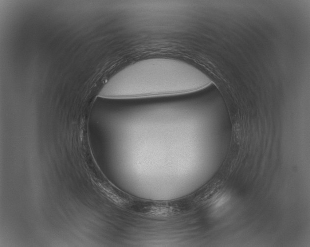 X0000054370458200507290835