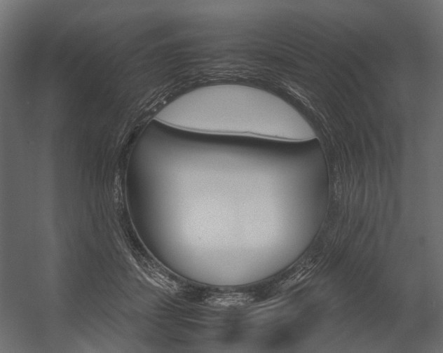 X0000054370459200507290835