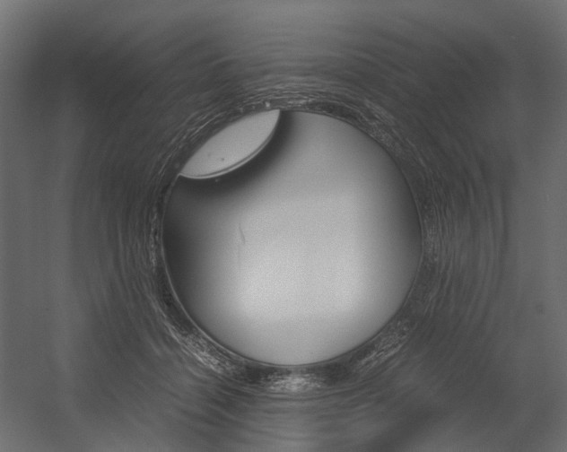 X0000054370460200507290835