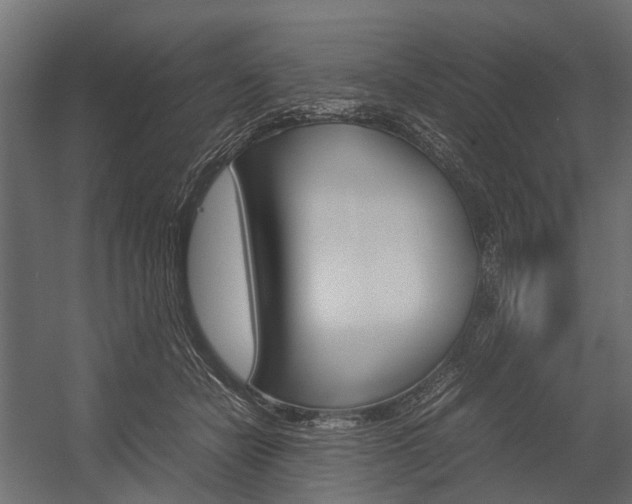 X0000054370462200507290835