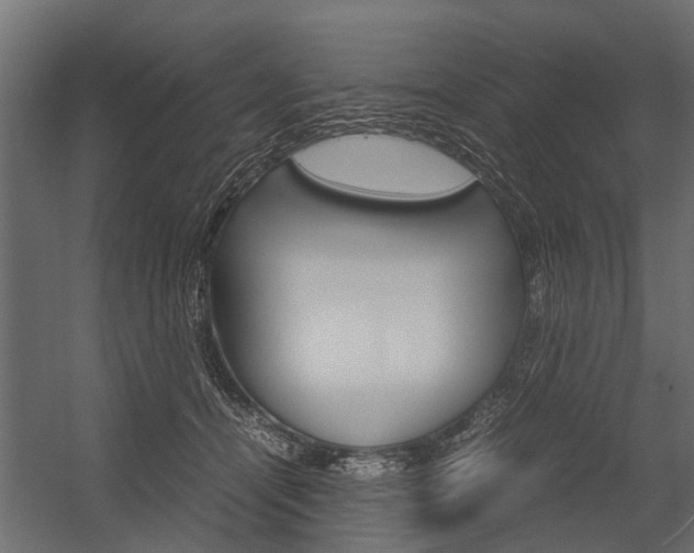 X0000054370464200507290835