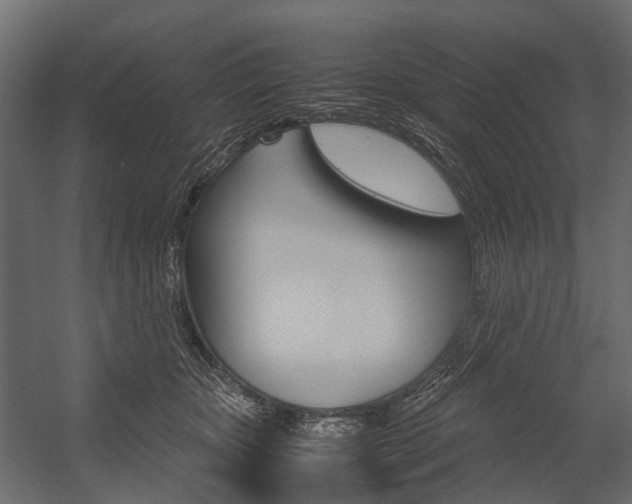 X0000054370467200507290835