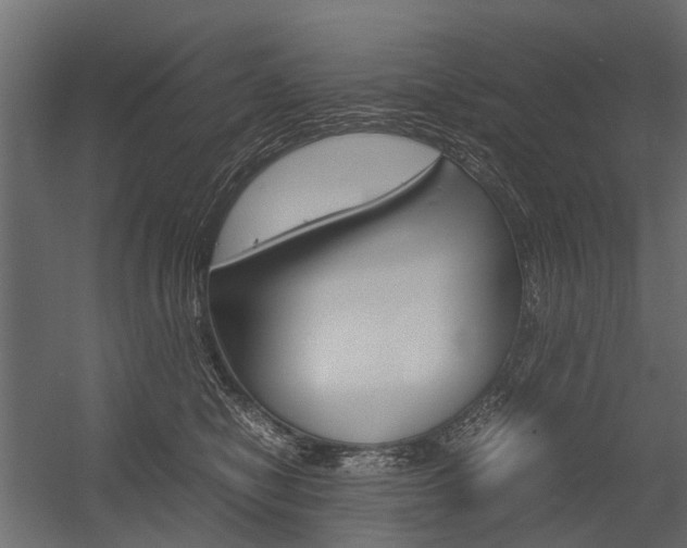 X0000054370470200507290835