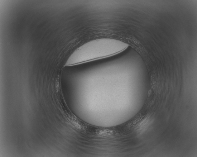 X0000054370471200507290835