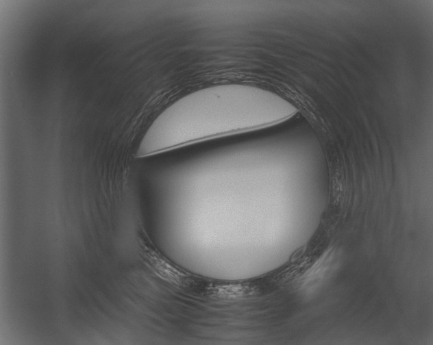 X0000054370473200507290835