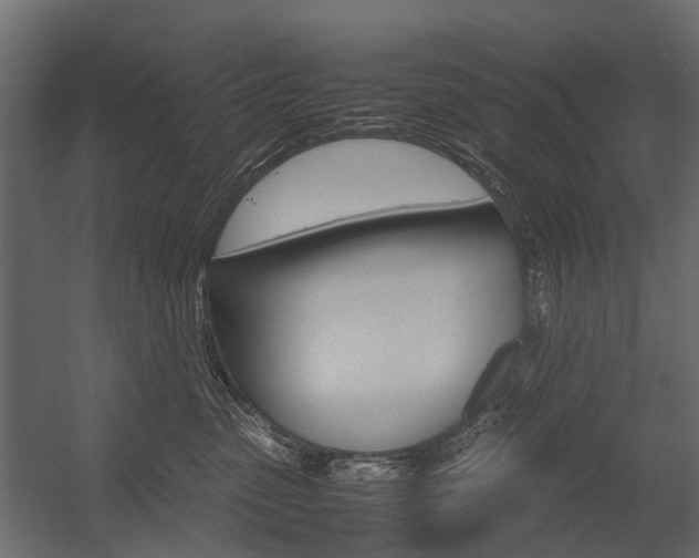 X0000054370475200507290835